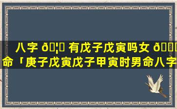 八字 🦊 有戊子戊寅吗女 🐝 命「庚子戊寅戊子甲寅时男命八字」